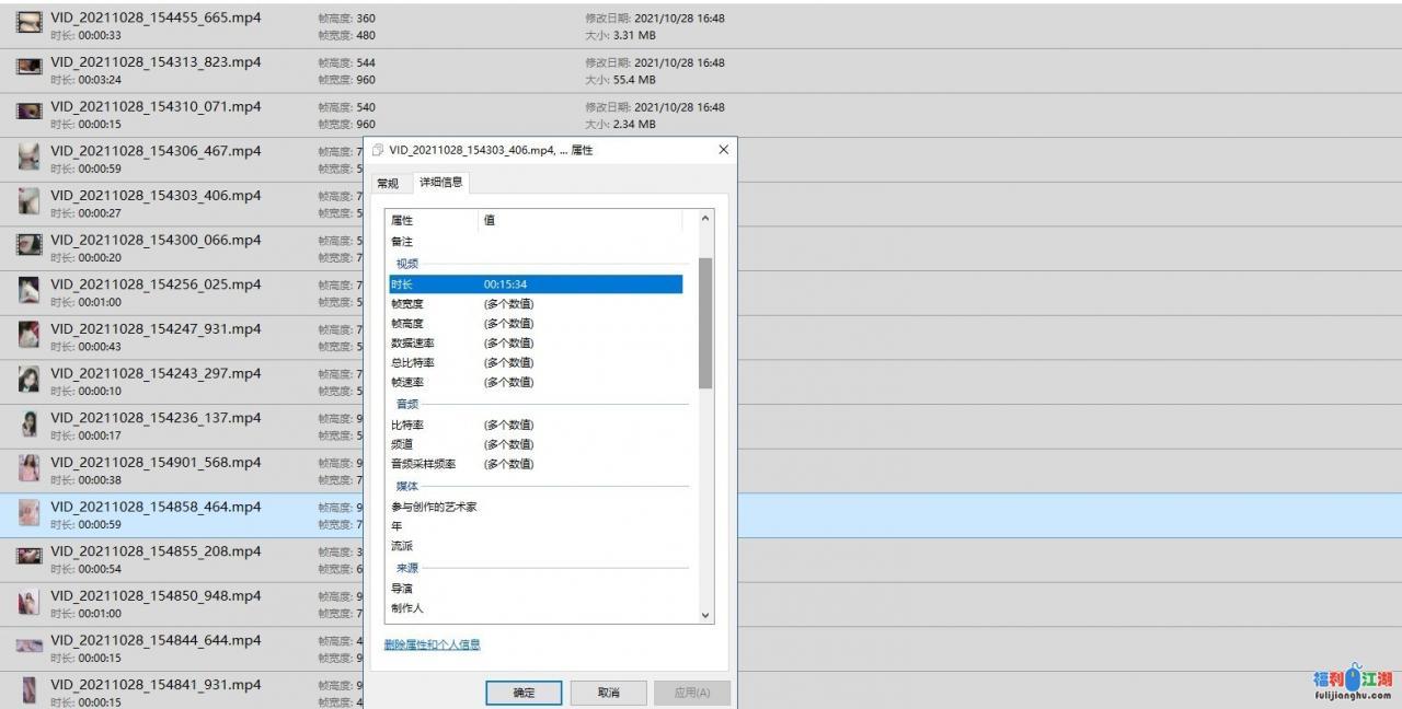 两位大学生的反差生活[21V/193M][百度云]